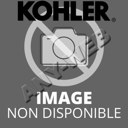 Kit réparation de carburateur (walbro) pour moteur Kohler