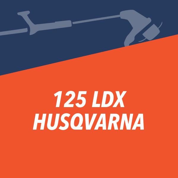 125 LDX husqvarna